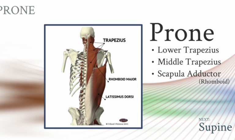 Muscle Testing and Exercise Prescription H3