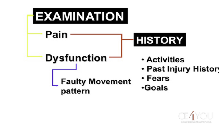 Rehabilitation of the Athlete H4